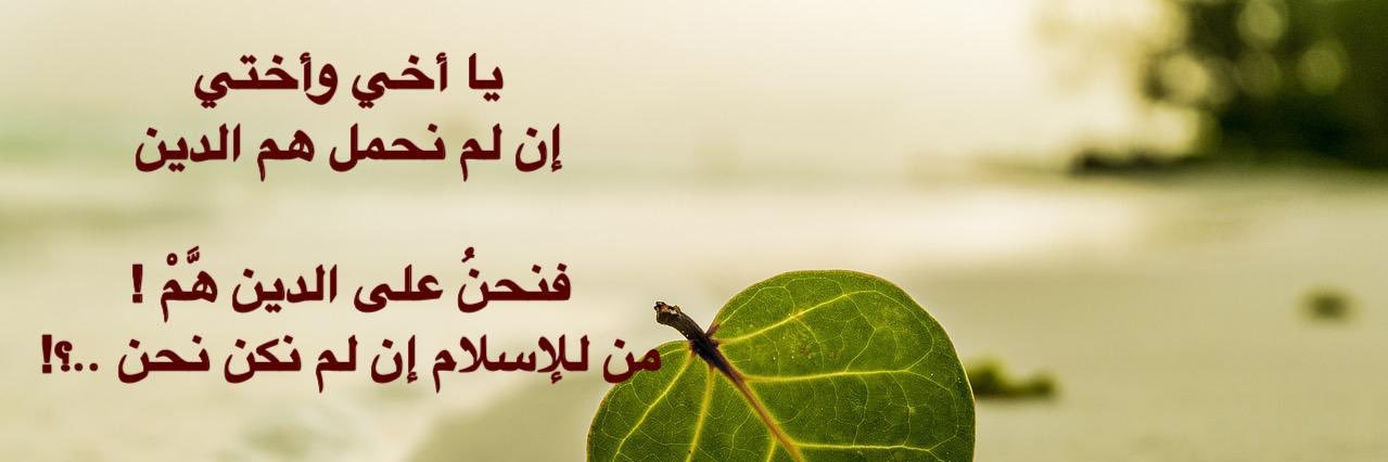 _weesf's profile banner image