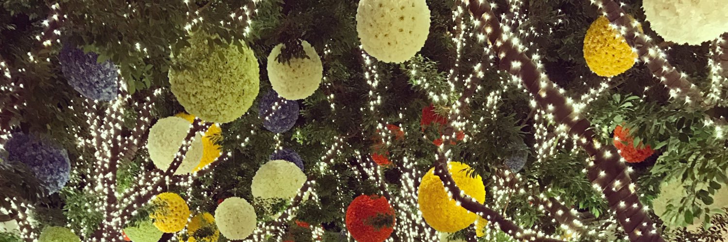 AshtonH44's profile banner image