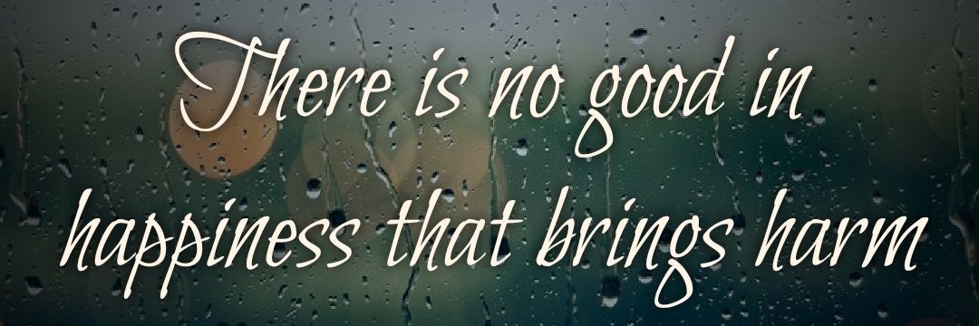 iammirmujtaba's profile banner image