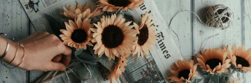 jooanacc12's profile banner image