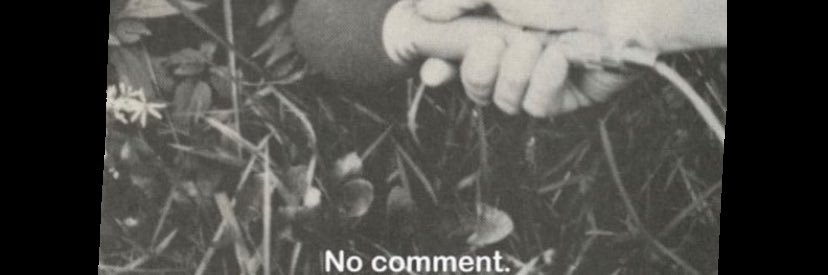 Ditte Offersen Lynge banner