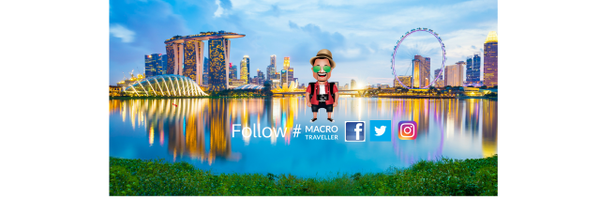 MacroTraveller Profile Banner