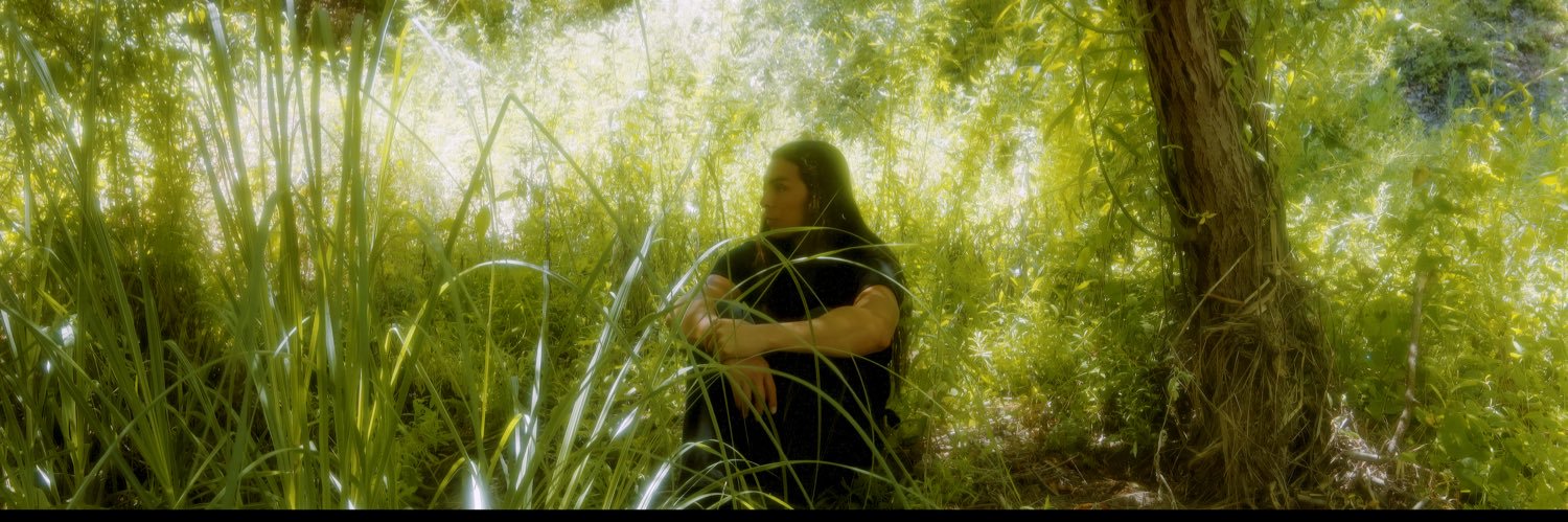 Paris Shadows banner