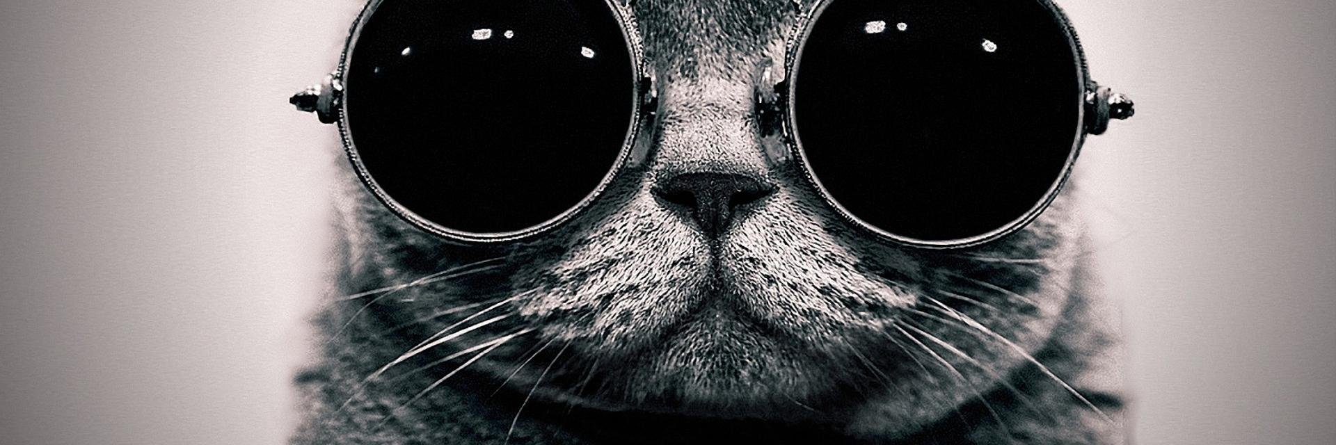 Sivisn's profile banner image