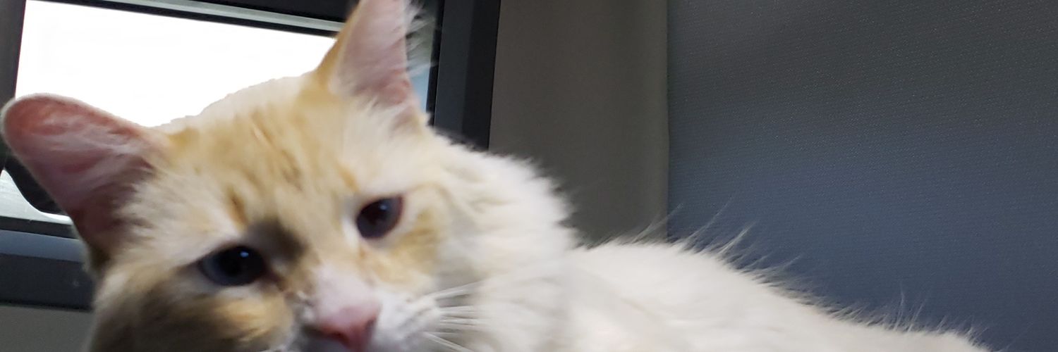 benjaminss90's profile banner image