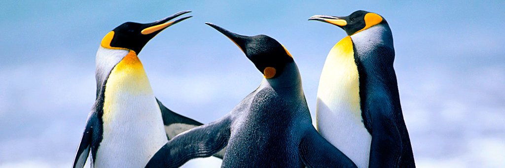 AgusLorena8's profile banner image