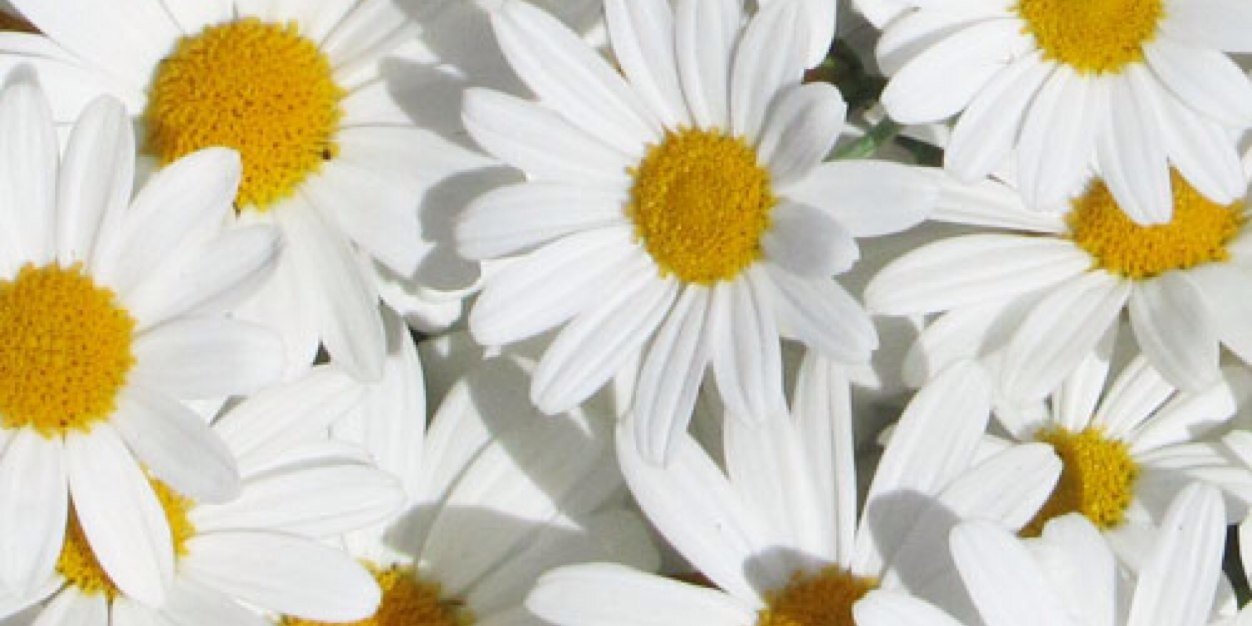 AndersenElse's profile banner image