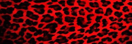 iamMrAaron's profile banner image