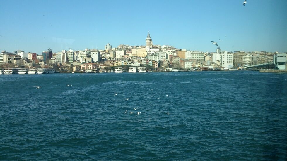 AranchaPalomare's profile banner image