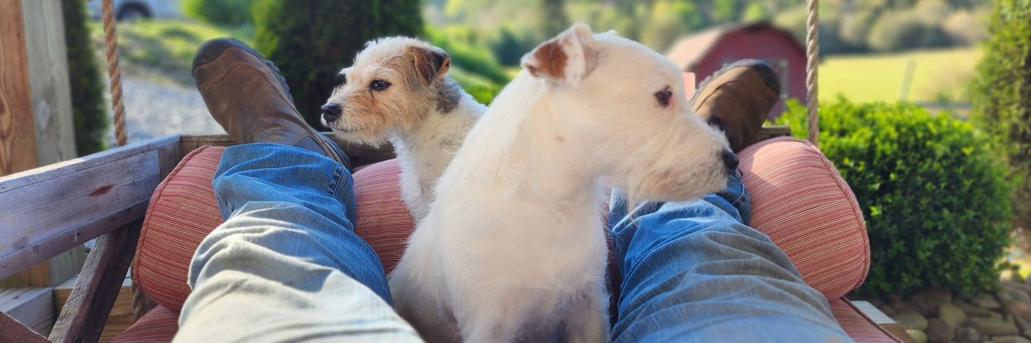 Dave Pastusic banner