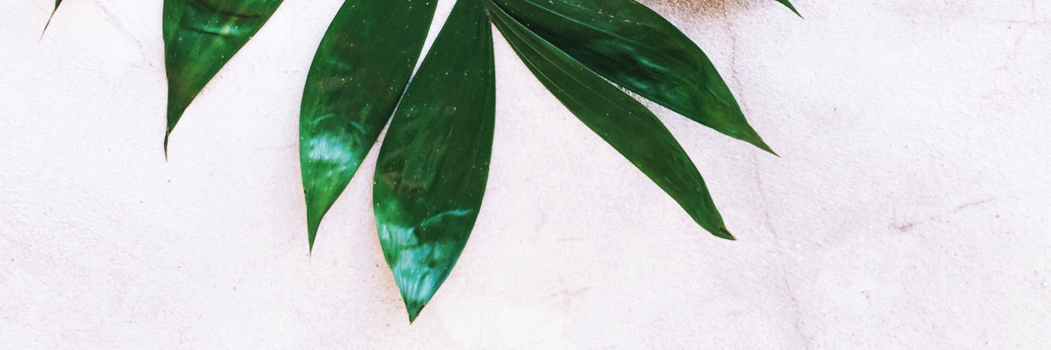 JayyHarpp's profile banner image