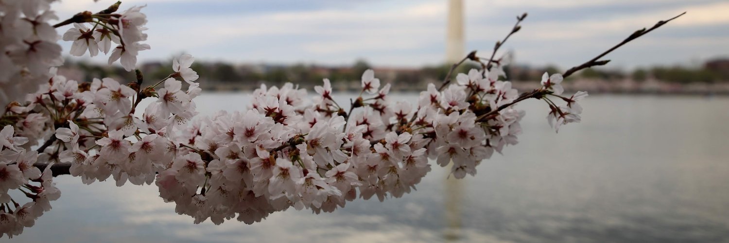 Cassidy R. Sugimoto banner