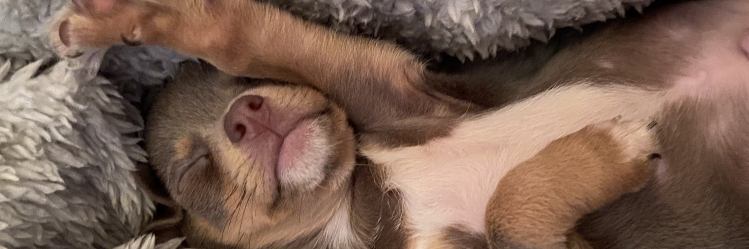 GeorgiaLeaxx's profile banner image