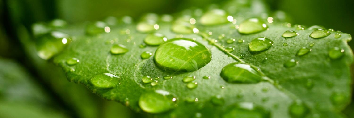 EH Smith Sustainable banner