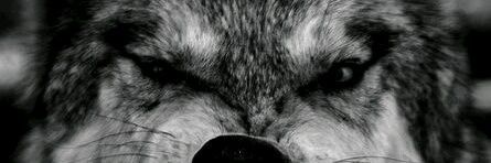 juveritacrust's profile banner image