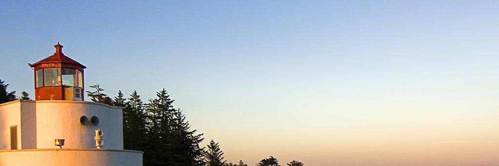 anitadong's profile banner image
