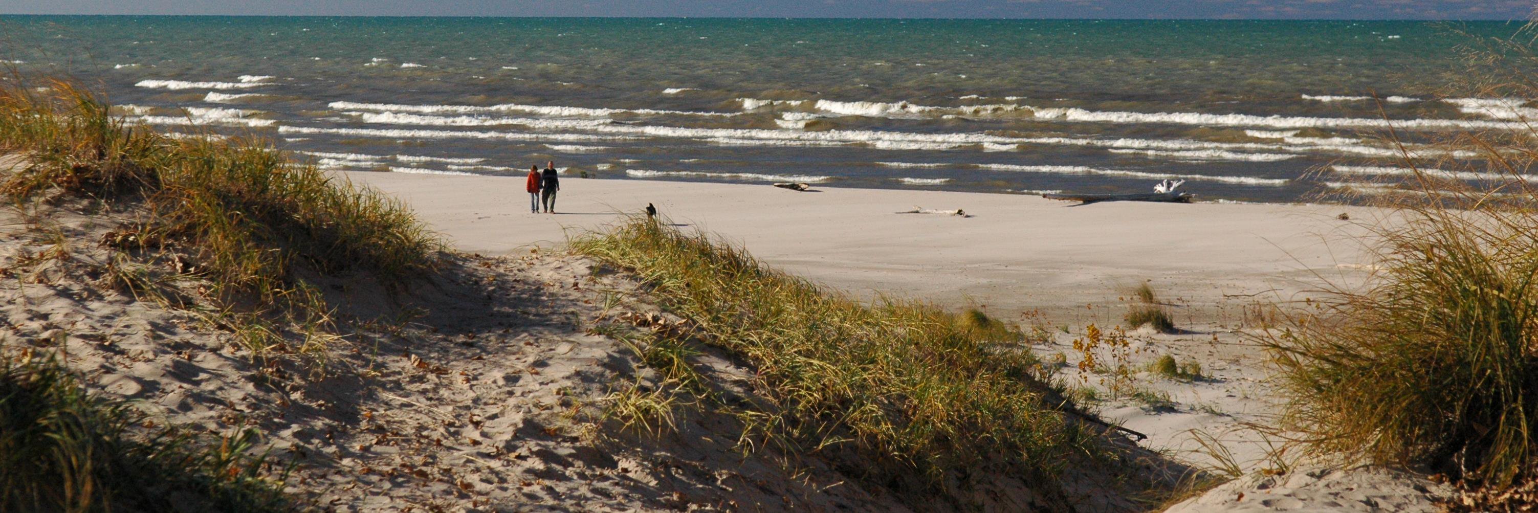 Chris Robson CCA-ON banner