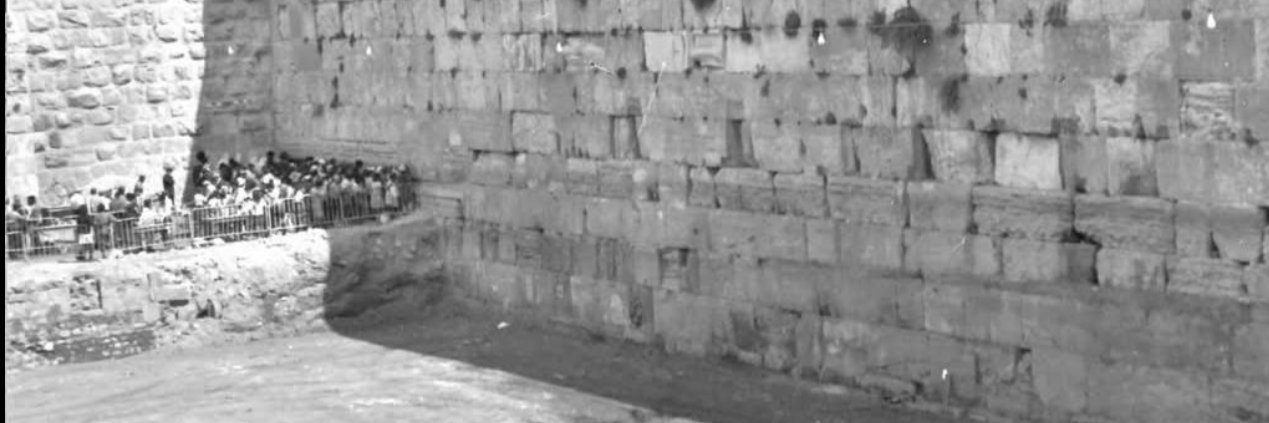 carmelkushnir's profile banner image