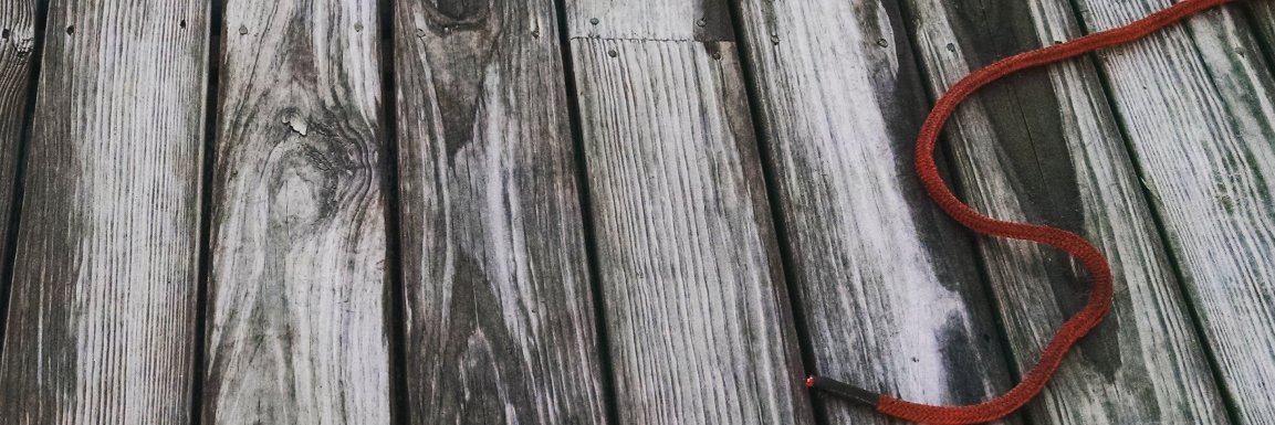 MsAbbott1's profile banner image
