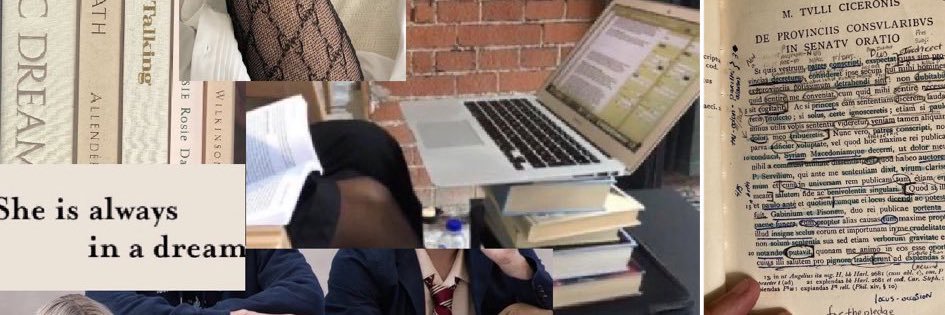 bajisaurus_'s profile banner image