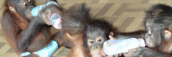 BOS_AUS Profile Banner