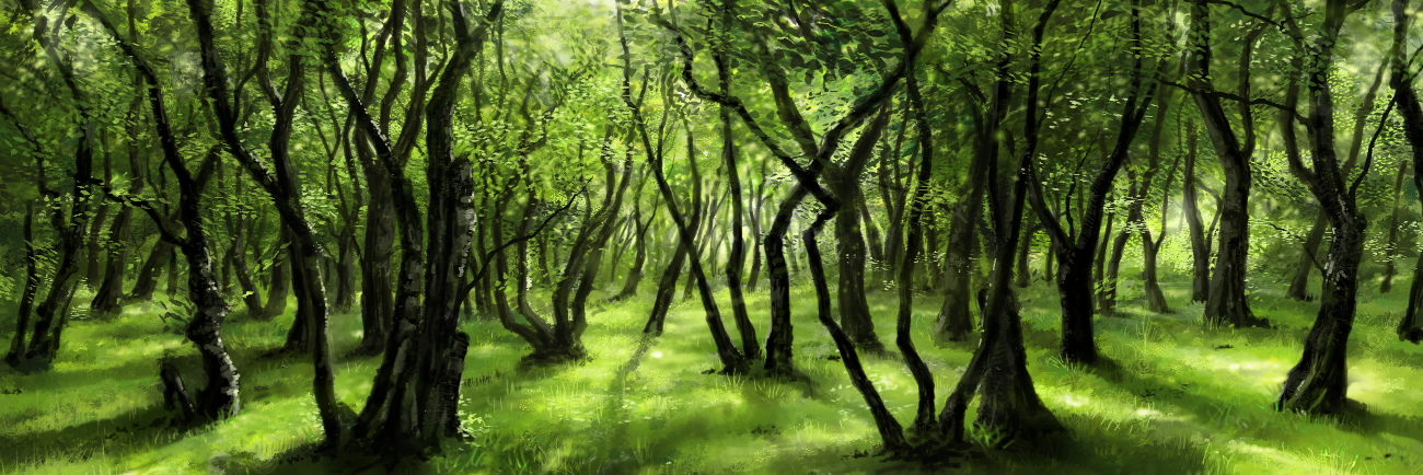 SaveTheTrees_'s profile banner image