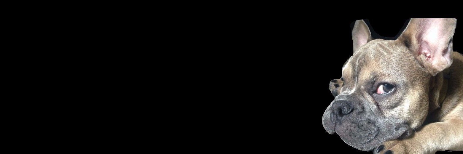 yoechos's profile banner image