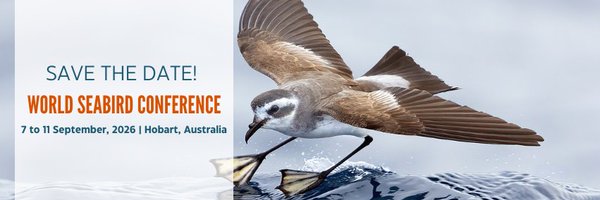 Seabirders Profile Banner