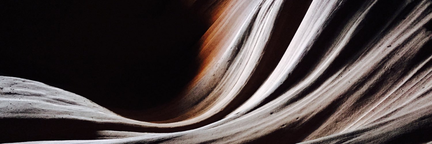 Forest Sebastien banner