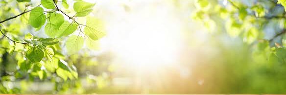 bobiemail's profile banner image