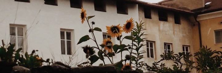 manadayo35's profile banner image