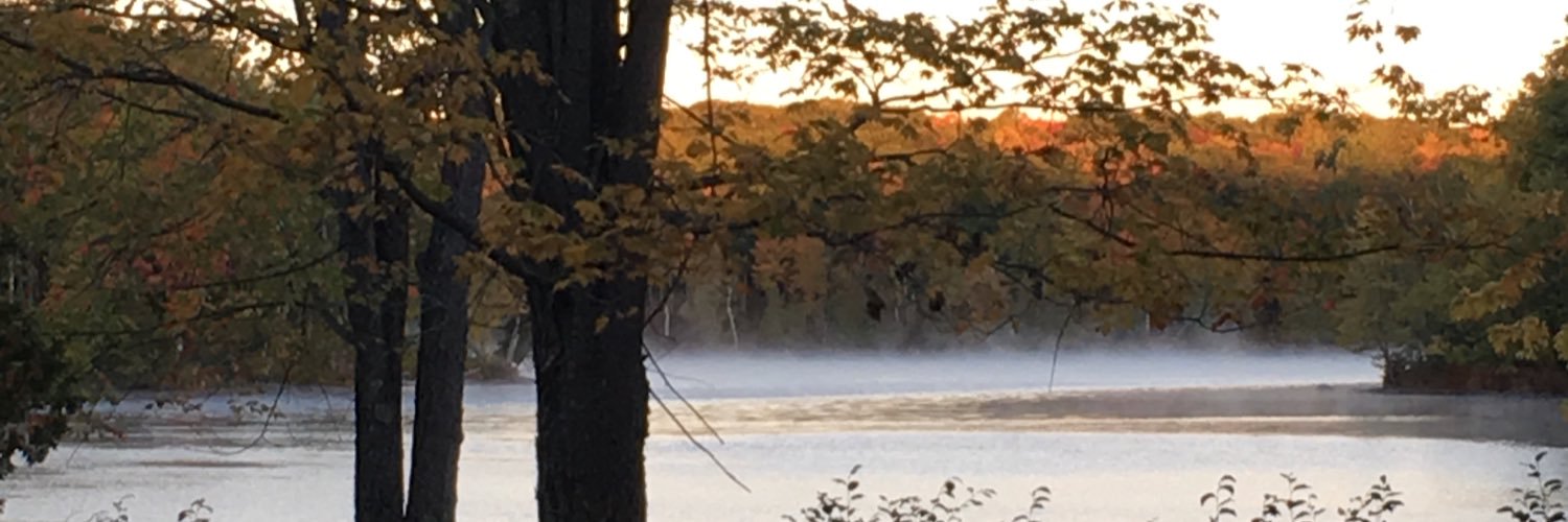 AshleyTebbutt's profile banner image