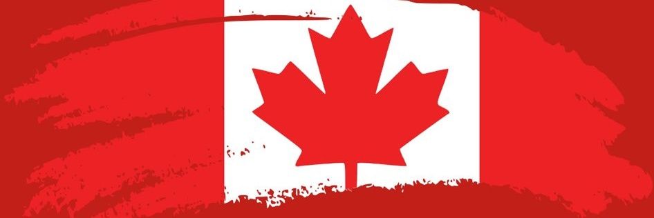 darcy_mcmaster's profile banner image