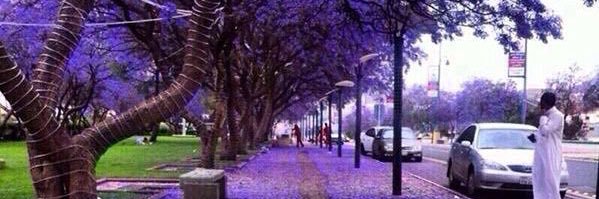 منصور بن مدهوس banner