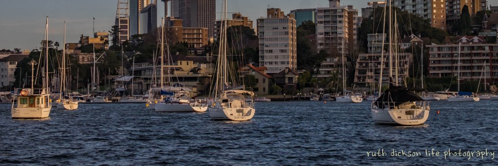 RuthD53's profile banner image