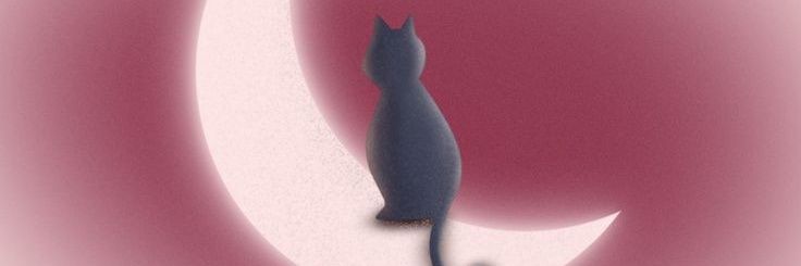 btsooya's profile banner image