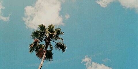kdavess's profile banner image