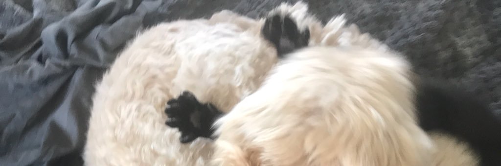 cnrkho's profile banner image