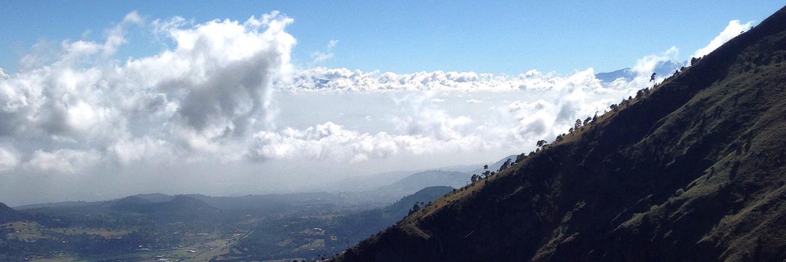 elizabeth caracheo banner