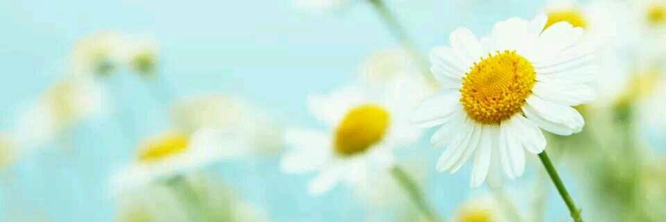 bsr_basri's profile banner image
