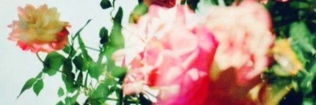 Alexis ☾Leland banner