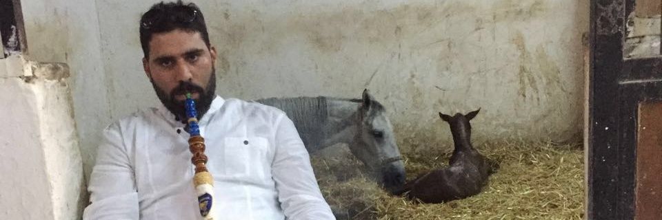 Hacı çelik banner
