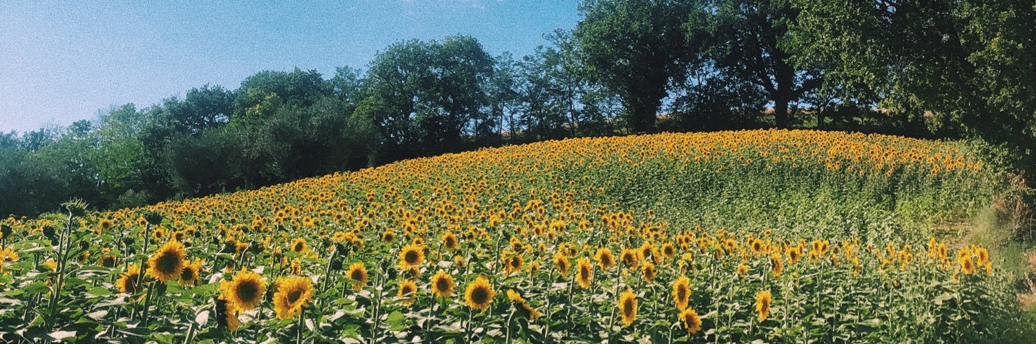 BagfullofLaura's profile banner image