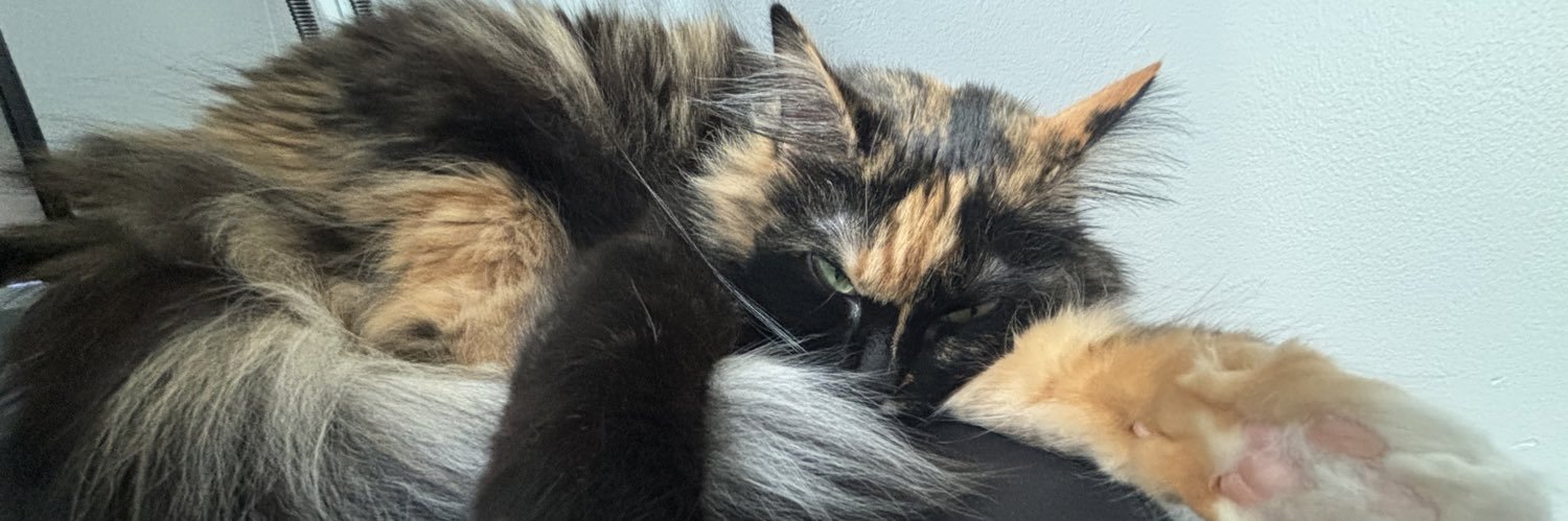 mooshroombre's profile banner image