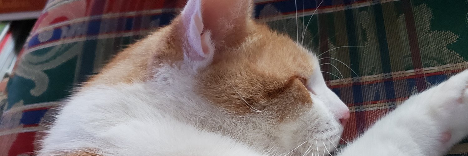 AubLibDir's profile banner image