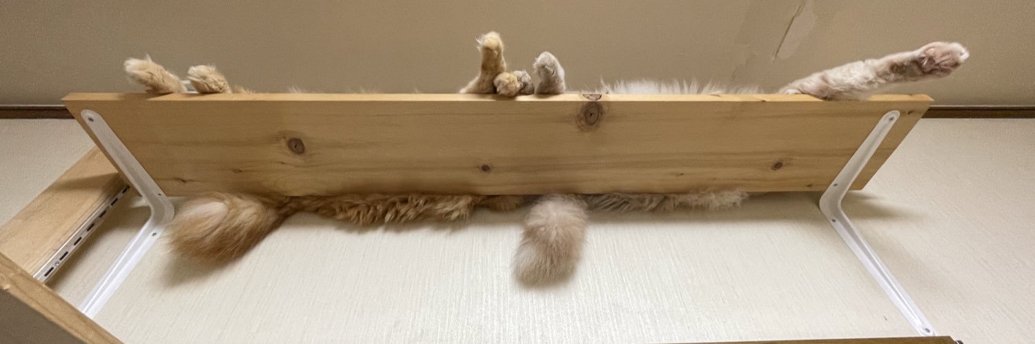 manuruCAT's profile banner image