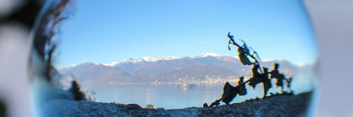 Birbi_Z's profile banner image