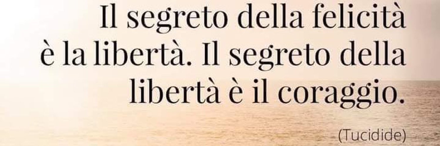 Maria Teresa🐝🥇 banner