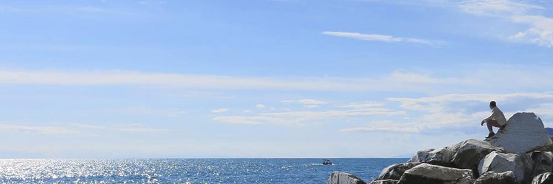 allenweichen's profile banner image