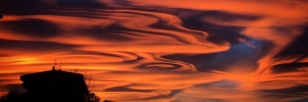 Marcus Horning banner